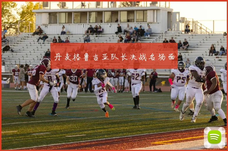 丹麦格鲁吉亚队长决战名场面