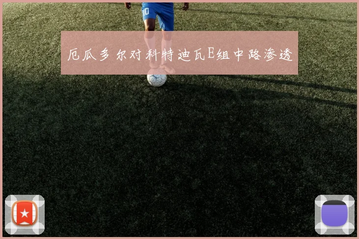 厄瓜多尔对科特迪瓦E组中路渗透