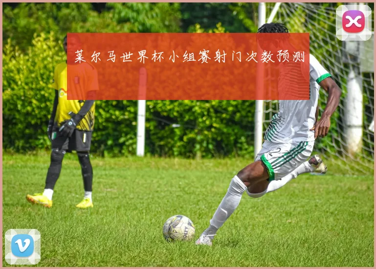 莱尔马世界杯小组赛射门次数预测
