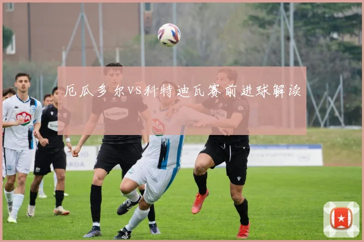 厄瓜多尔vs科特迪瓦赛前进球解读
