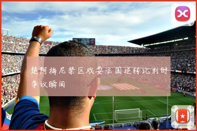 楚阿梅尼禁区戏耍法国逆转比利时争议瞬间