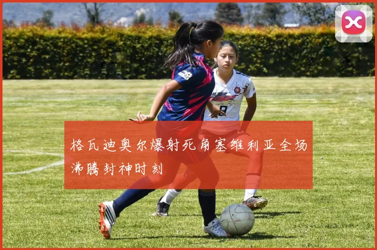格瓦迪奥尔爆射死角塞维利亚全场沸腾封神时刻