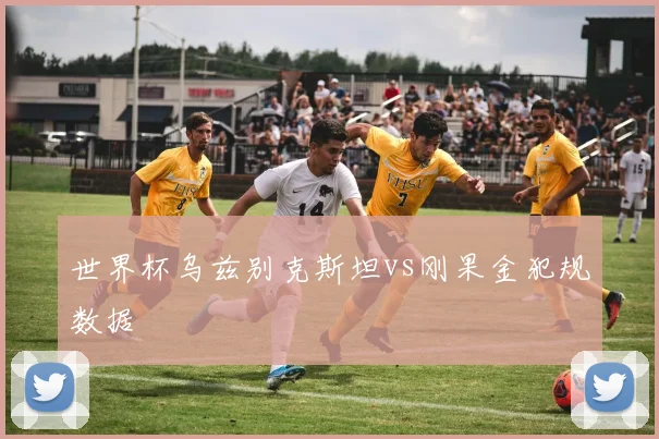 世界杯乌兹别克斯坦vs刚果金犯规数据