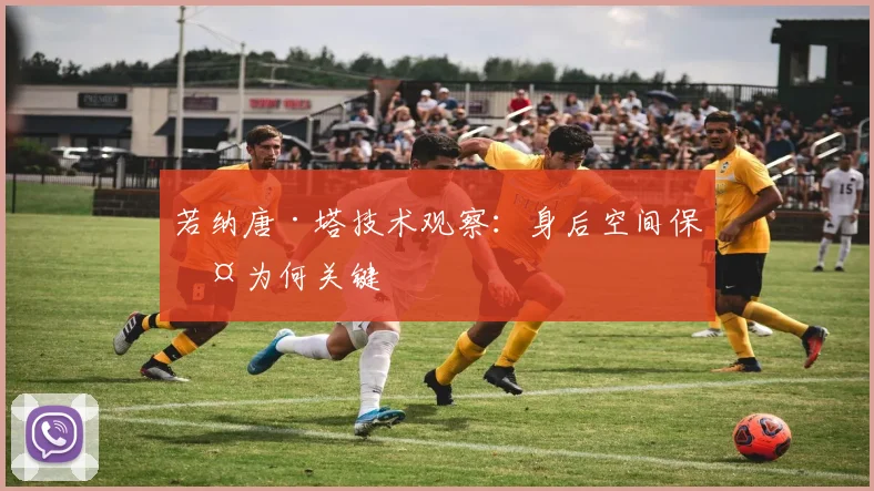 若纳唐·塔技术观察：身后空间保护为何关键
